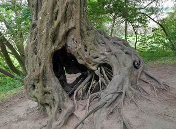 Mehr über den Artikel erfahren Der Mensch ist Gast in der Natur